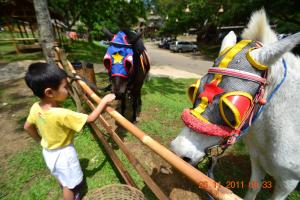 a young boy is petting a horse with at Homestay Triniti in Lembang