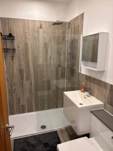 a bathroom with a shower and a sink and a toilet at Stylish Coastal Apartment with Breathtaking views in Conwy +34 photos