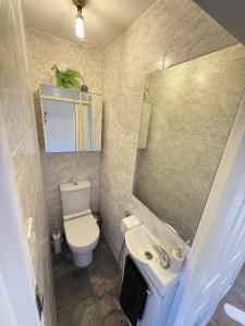a bathroom with a toilet and a sink and a mirror at Luxury 3BDR apartment in King’s cross in London +3 photos