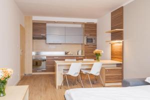 Kuchyň nebo kuchyňský kout v ubytování Hotel Vista
