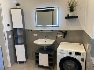 a bathroom with a washing machine and a sink at Großkoschen Wohnungen in Senftenberg +12 photos