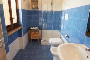 アグローポリにあるB&B Cilentumの青いタイル張りのバスルーム(トイレ、シャワー付)