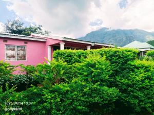 a pink house with mountains in the background at Mount Mulanje Stopover in Peremwe