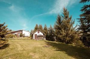 a house on a grassy hill with a tree at Ferienhaus Tannenblick Rochlitz in Rochlitz