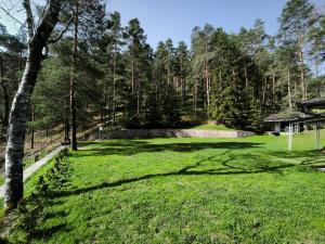 Priroda u blizini apartmana