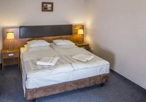 Postel nebo postele na pokoji v ubytování Maximus Spa