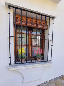 una ventana con macetas de flores en el alféizar de la ventana en Casa Rural Grazalema, en Grazalema