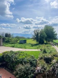 a green field with trees and a road at Rifugio Natura-Relax e benessere in Campagna in Faicchio +14 photos