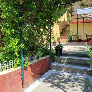 a set of stairs with a tree and a fence at Daniel studio in Corfu +10 photos
