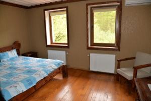 1 dormitorio con 1 cama y 2 ventanas en Syni Potoky, en Svalyava