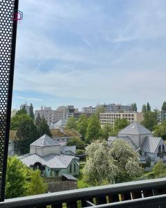 a view of a city with buildings and trees at Sérénité - Logement calme au coeur de Strasbourg in Strasbourg