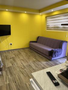 TV a/nebo společenská místnost v ubytování Apartmane Savic