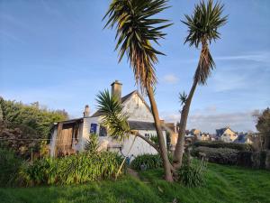 een huis met twee palmbomen ervoor bij Villa de la fontaine vue mer in Paimpol