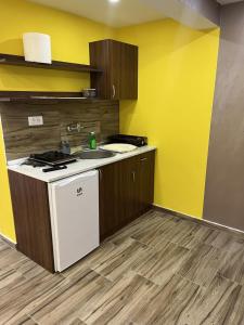 Kuchyň nebo kuchyňský kout v ubytování Apartmane Savic