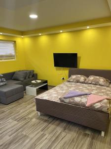 TV a/nebo společenská místnost v ubytování Apartmane Savic