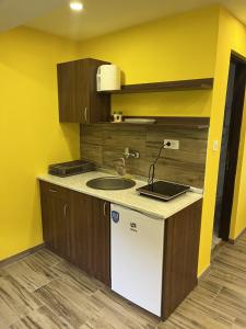 Kuchyň nebo kuchyňský kout v ubytování Apartmane Savic
