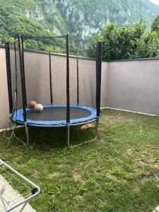 Zahrada ubytování Apartmane Savic