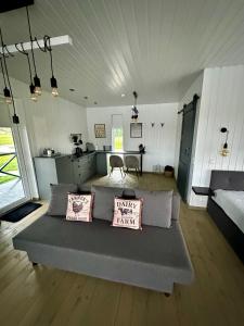 - un salon avec un canapé et 2 oreillers dans l'établissement DeerHouse, à Kaliakiemiai