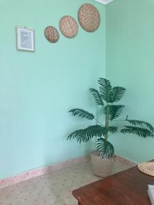 Fotografie z fotogalerie ubytování RUSINGA SUITES v destinaci Mbita