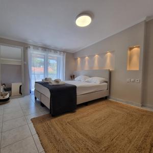 a bedroom with a bed and a large window at Vaios Luxury Apartments Polichrono in Polykhrono