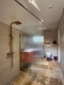 a glass shower in a bathroom with a toilet at Gîte 4 de l être aux Rues in Chailloué +15 photos