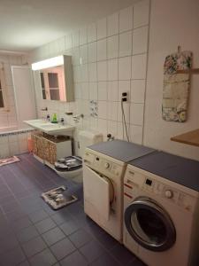 una cucina con lavatrice e lavandino di Eidechse a Morschach