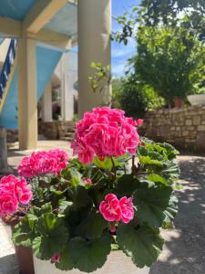 Zahrada ubytování Hotel Portokali