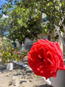 Fotografie z fotogalerie ubytování Hotel Portokali v destinaci Himare