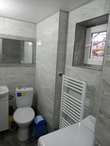a bathroom with a white toilet and a window at Під горою in Volovets +18 photos