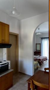 A kitchen or kitchenette at Mesohori studios