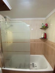 a shower with a glass door in a bathroom at Apartamento Lagabide in Ibarrangelu