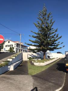 a pine tree in a parking lot next to a house at Casa da Prainha 4 in São Caetano +32 photos
