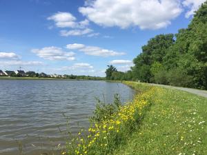 a body of water with yellow flowers on the side at Gîte du Bois Brillant in Couffé