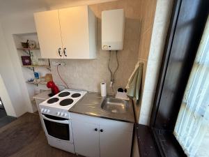 Dapur atau dapur kecil di Rustika Koviljača