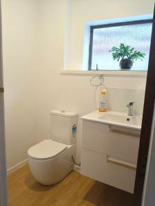 a bathroom with a toilet and a sink and a window at Cozy Bedroom in Tauranga in Tauranga