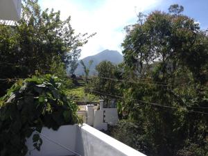 una vista dal balcone di una casa con alberi di Glen Brook Cottage a Devikolam