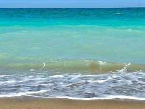 Naturlandskabet i nærheden af lejligheden