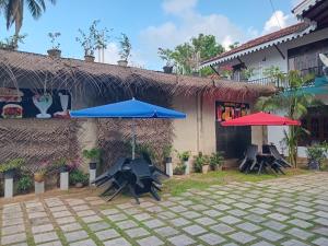 Κήπος έξω από το TECHNO TOURIST INn