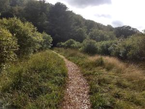 Příroda nedaleko prázdninového domu