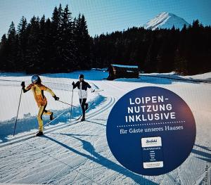 Hosté ubytování Alpineas