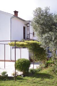 Un jardín fuera de Apartment Ivy