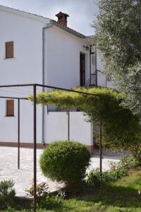 Un jardín fuera de Apartment Ivy