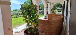 Zahrada ubytování La Kascina Suite & Rooms
