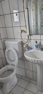 Koupelna v ubytování Apartman Kosta + 12 fotografií