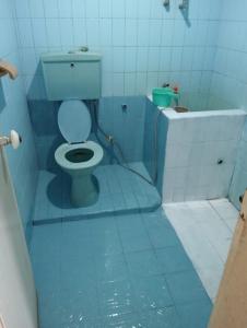 a blue bathroom with a toilet and a tub at Hotel Dahlia in Mantaak