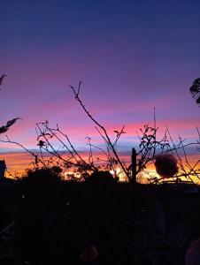 a sunset with a silhouette of a plant in the foreground at Dốc home in Da Thien