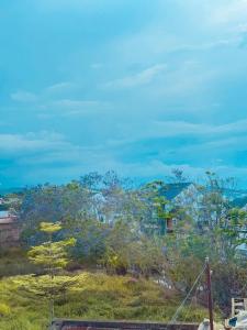 a view of a hill with trees and a house at Dốc home in Da Thien