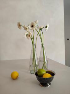 Fotografie z fotogalerie ubytování Las Dziki v destinaci Kwilno