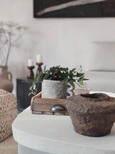 Fotografie z fotogalerie ubytování Las Dziki v destinaci Kwilno