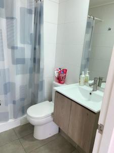 une salle de bain avec toilettes, lavabo et douche dans l'établissement Cómodo departamento en el centro de Temuco, à Temuco 6 autres photos